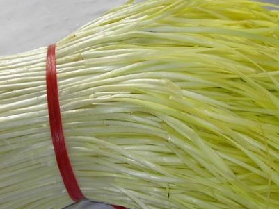 韭菜黄怎样栽培呢