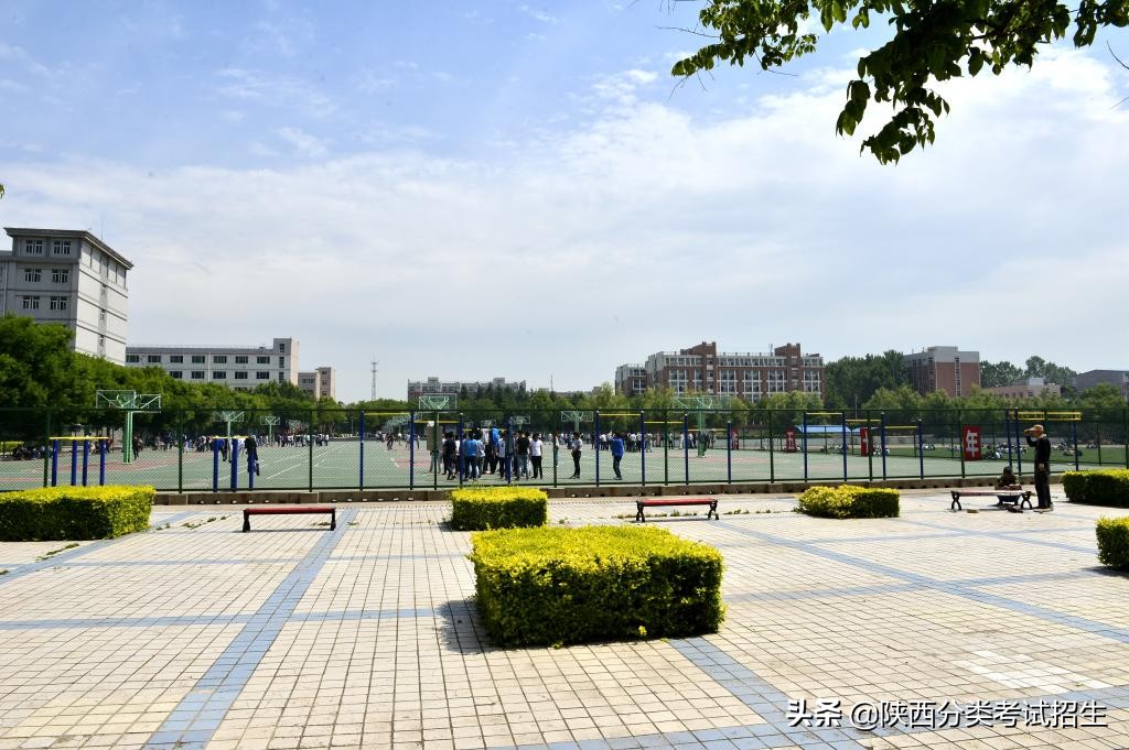 陕西艺术职业学院2020年分类考试招生章程