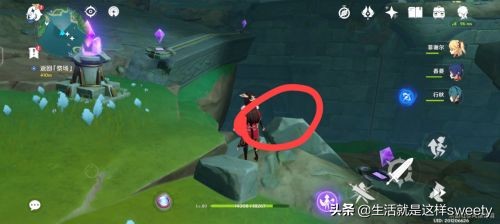 原神鹤观岛迷雾解密大全 原神知比山栖木任务攻略