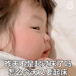 表情包：昨天不是起过床了吗？怎么今天又要起床，我就不起床