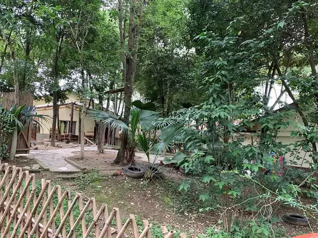 听说成都这家华德福幼儿园神叨叨的？