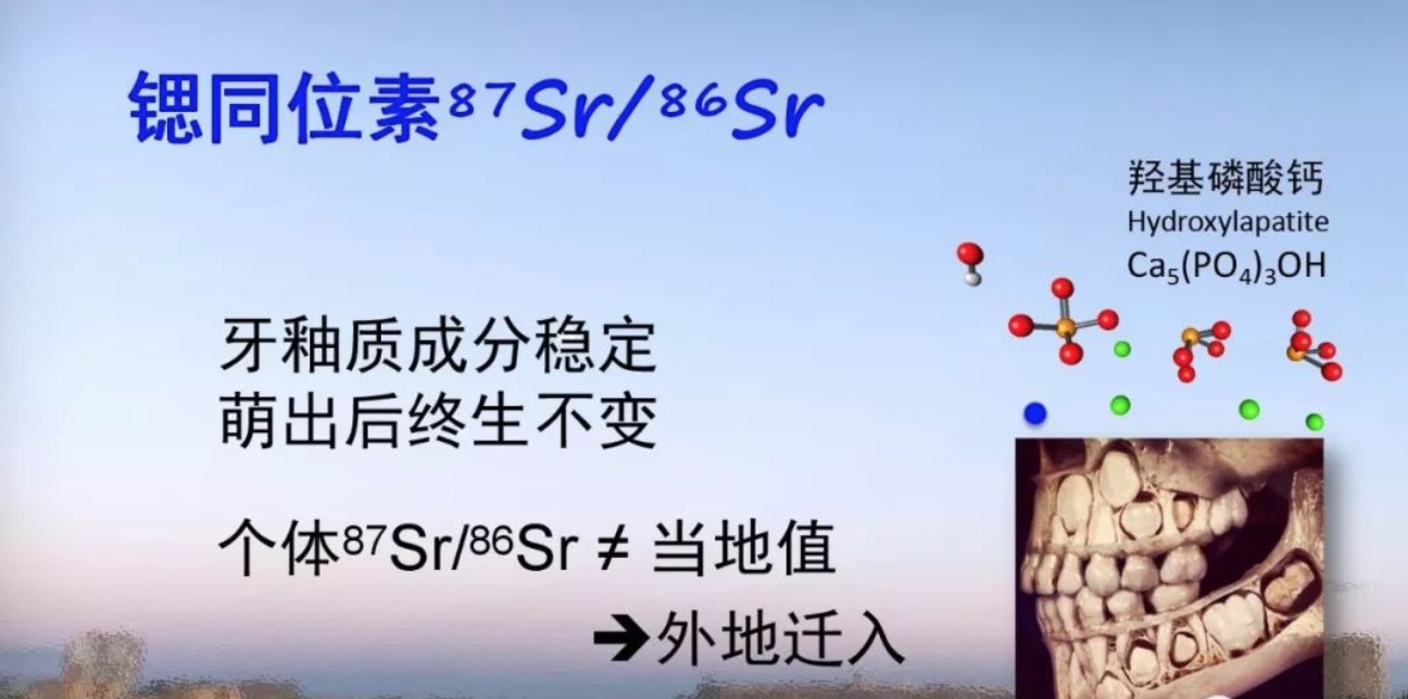 三星堆还在发掘，同时期的中原却充满着血腥和杀戮？是真的吗？