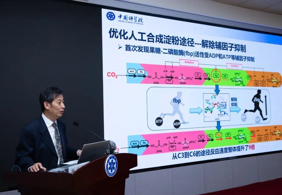 中国或将大改国际“粮食权利”局势，人工合成淀粉是如何做到的？