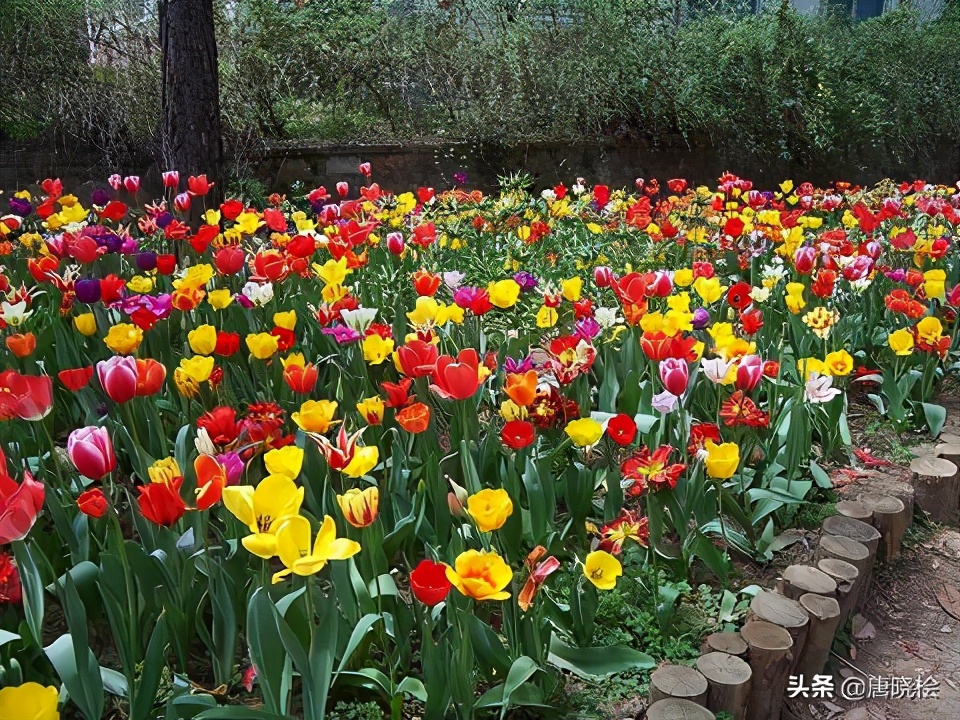 武汉十大旅游必去景点，赶紧先收藏起来呗
