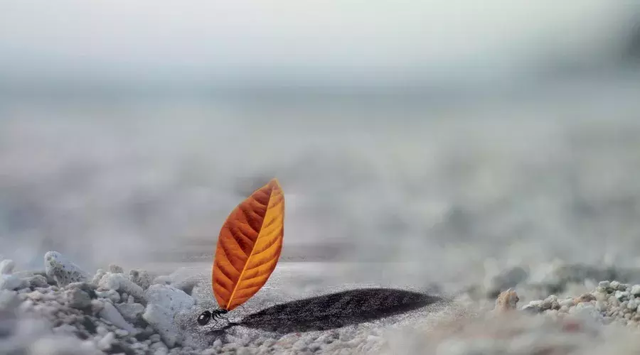 一路走来,冷暖自知