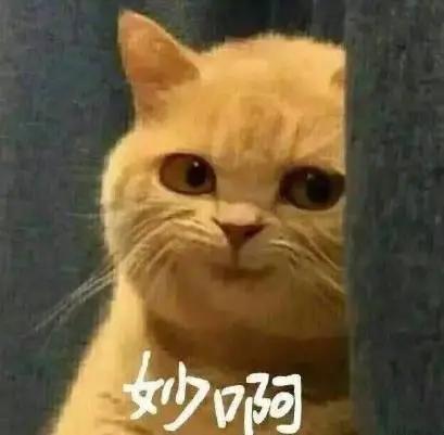 è®°ä½�è¿™ä¸ªå�·ç �ï¼�èµ°é��èŠœæ¹–éƒ½ä¸�æ€•