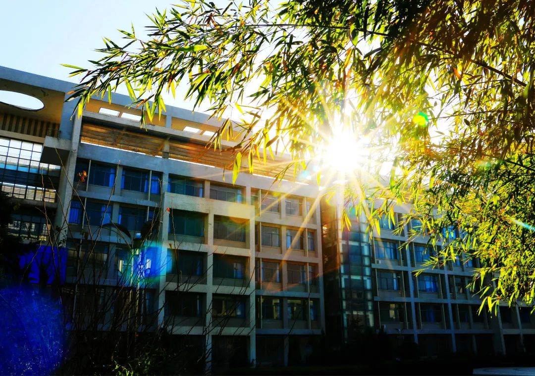 坐拥亚洲最大的连体教学楼，网红美食吃不完，西安这高校火了！