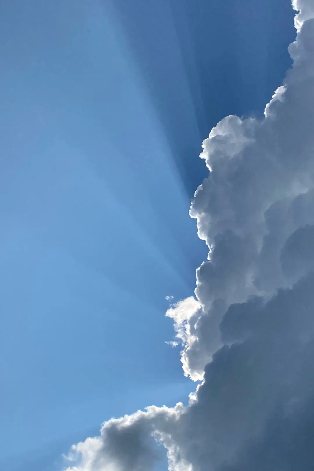 超好看！四川各高职院校专属壁纸，建议收藏