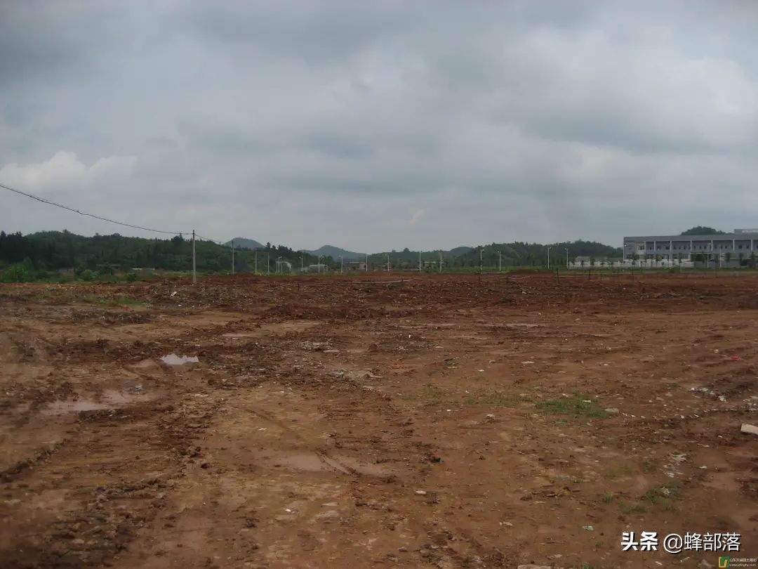 闲置土地,闲置土地处置办法