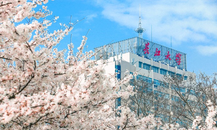 气质出众！湖北这位“女神”教师实力捧回全国大奖，超5万人参与