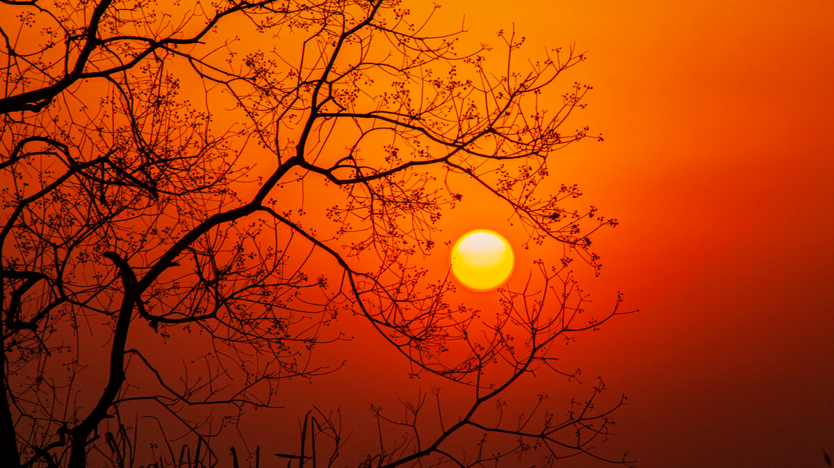 人到中年的唯美句子(莫道桑榆晚) - 火句子