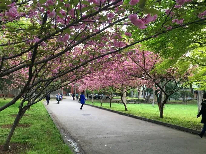 那三年，时间里滴不完的沙漏----写给95届高中毕业二十周年