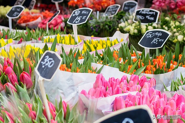 大学校园里的空白商机