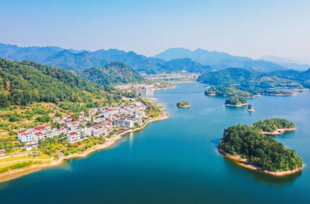 巨峰葡萄的產地,巨峰葡萄的產地在哪里