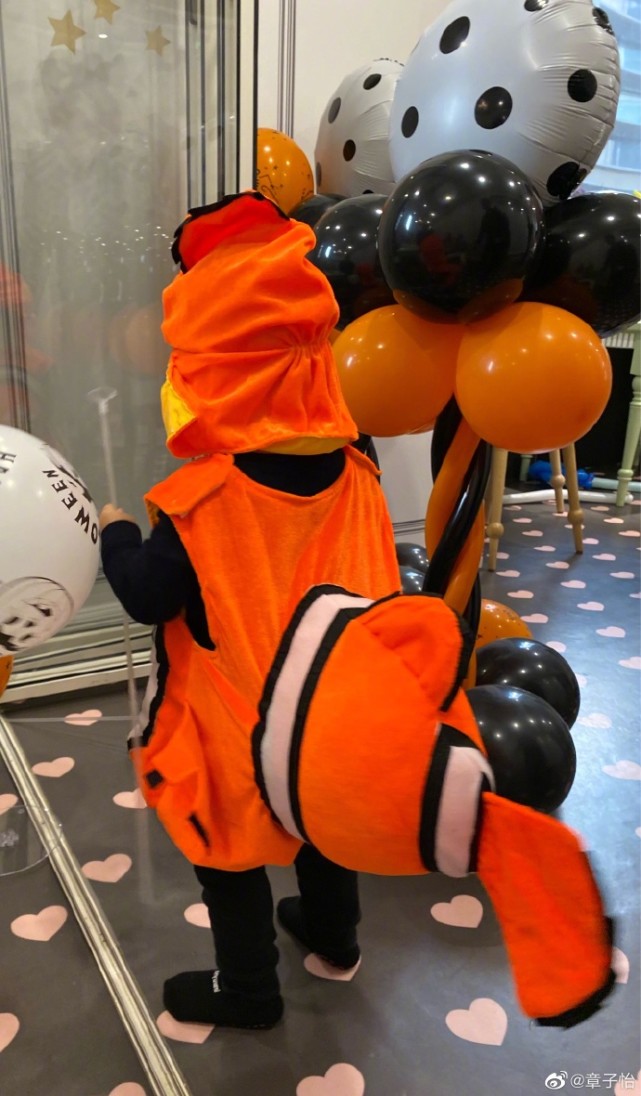 章子怡晒一家五口万圣节造型，儿子cos尼莫好可爱，名字首曝光