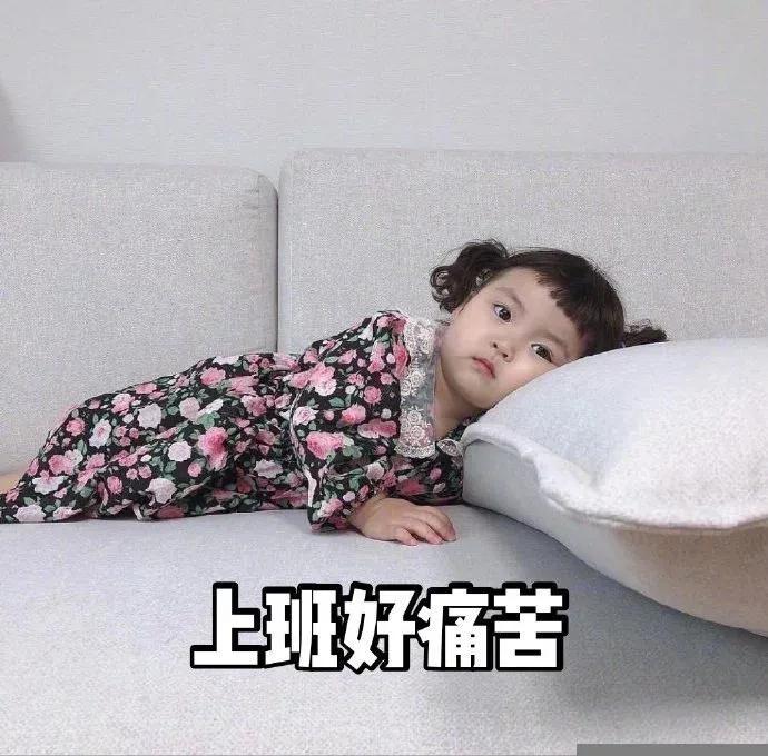 表情包：打扰一下，请问这里有富婆吗？