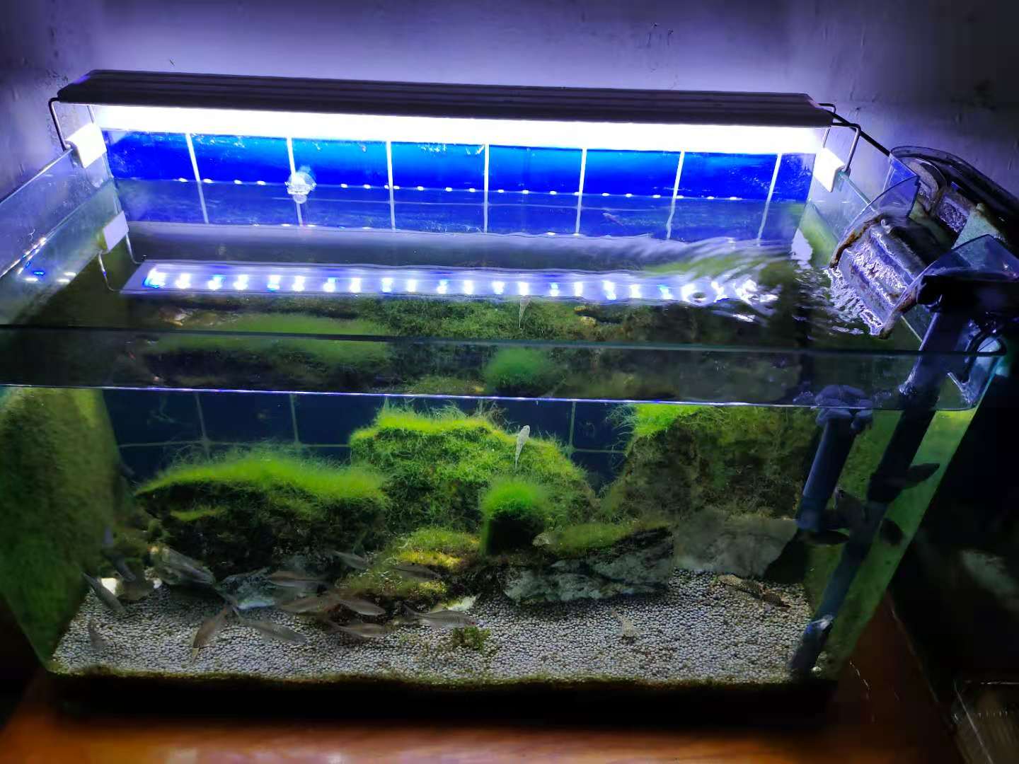 三合一还是滴流盒(滴流盒 三合一)