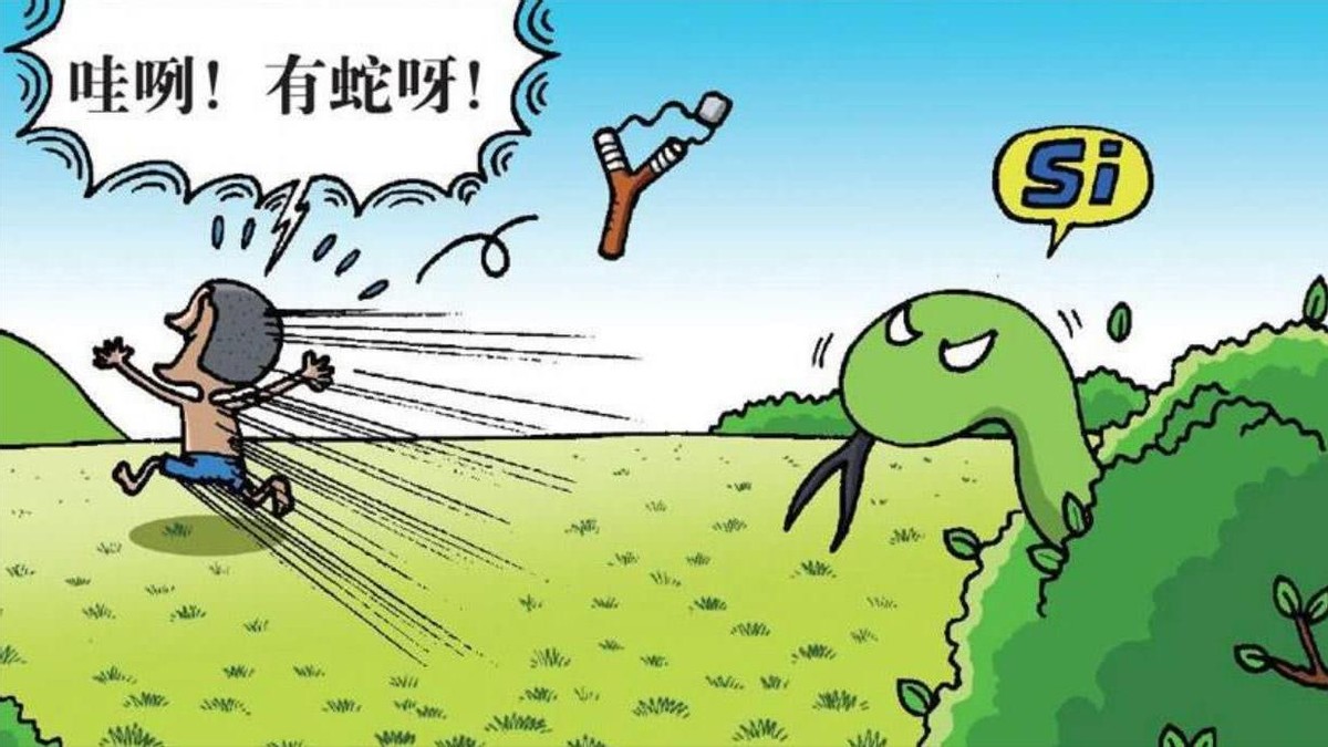 黑龙江女子与二十条蛇"同居",十五年从没被咬过,蛇也有感情?