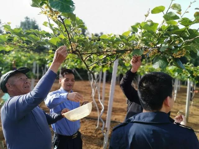 【每周警讯】平安衡阳市周报第1期（4.11——4.17）