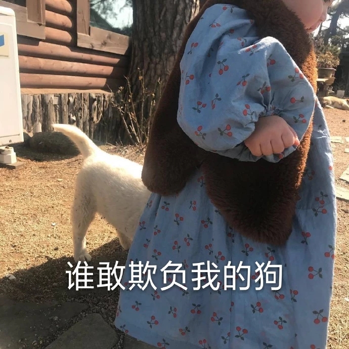 表情包：你要抬杠吗