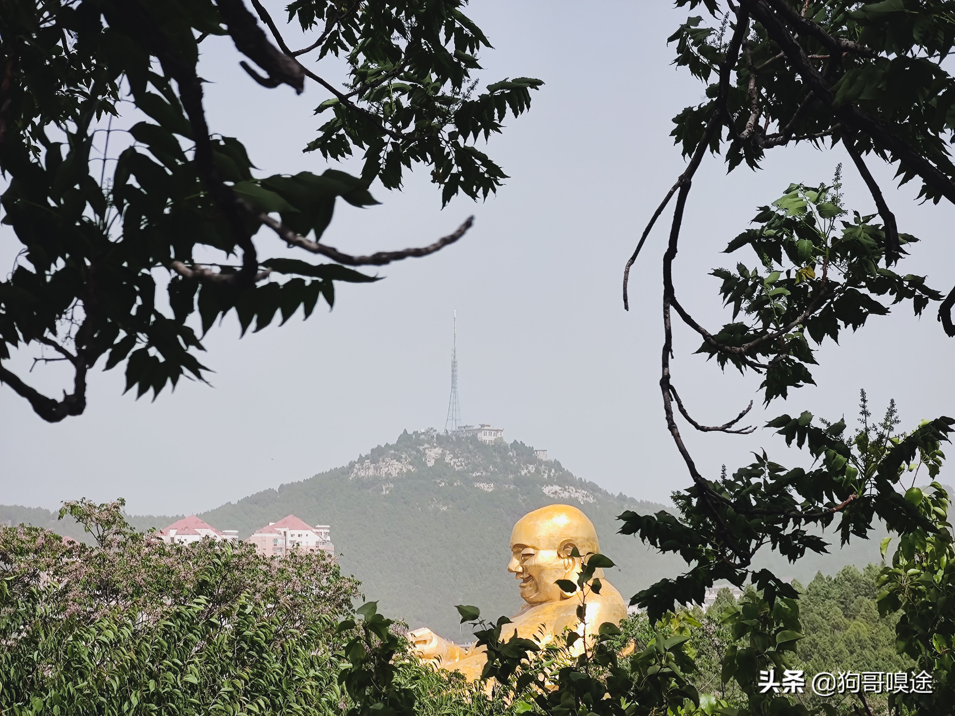 济南市区南部有座千年名山，是济南的地标景点，可以俯瞰市区全貌