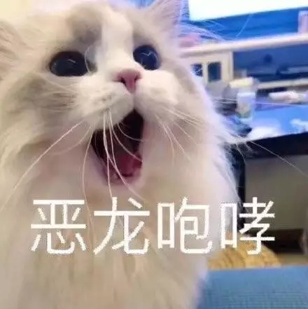 撒娇专用的猫咪表情包给你个机会偷亲我