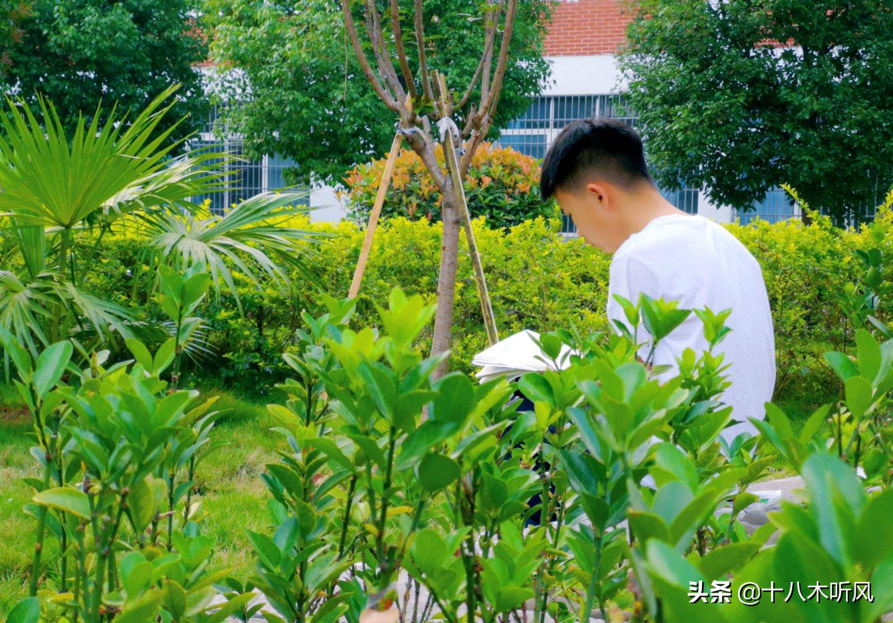 读大学做到这几点，大学时光将会成为你最美的青春记忆