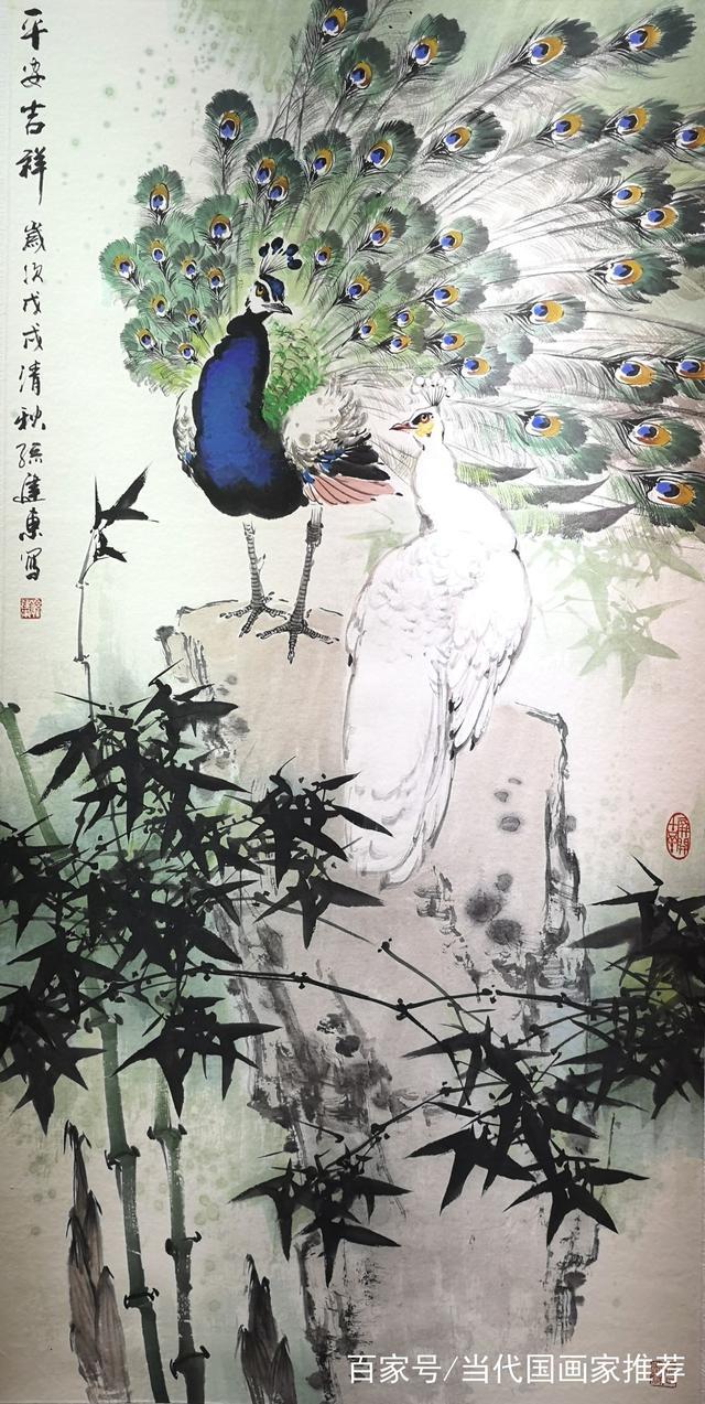 孔雀东南飞！高贵、冷艳的白孔雀