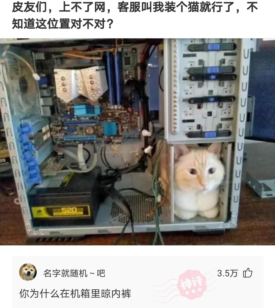 神评爆笑合集：女生睡觉前是这个基本操作流程，男生的呢？哈哈