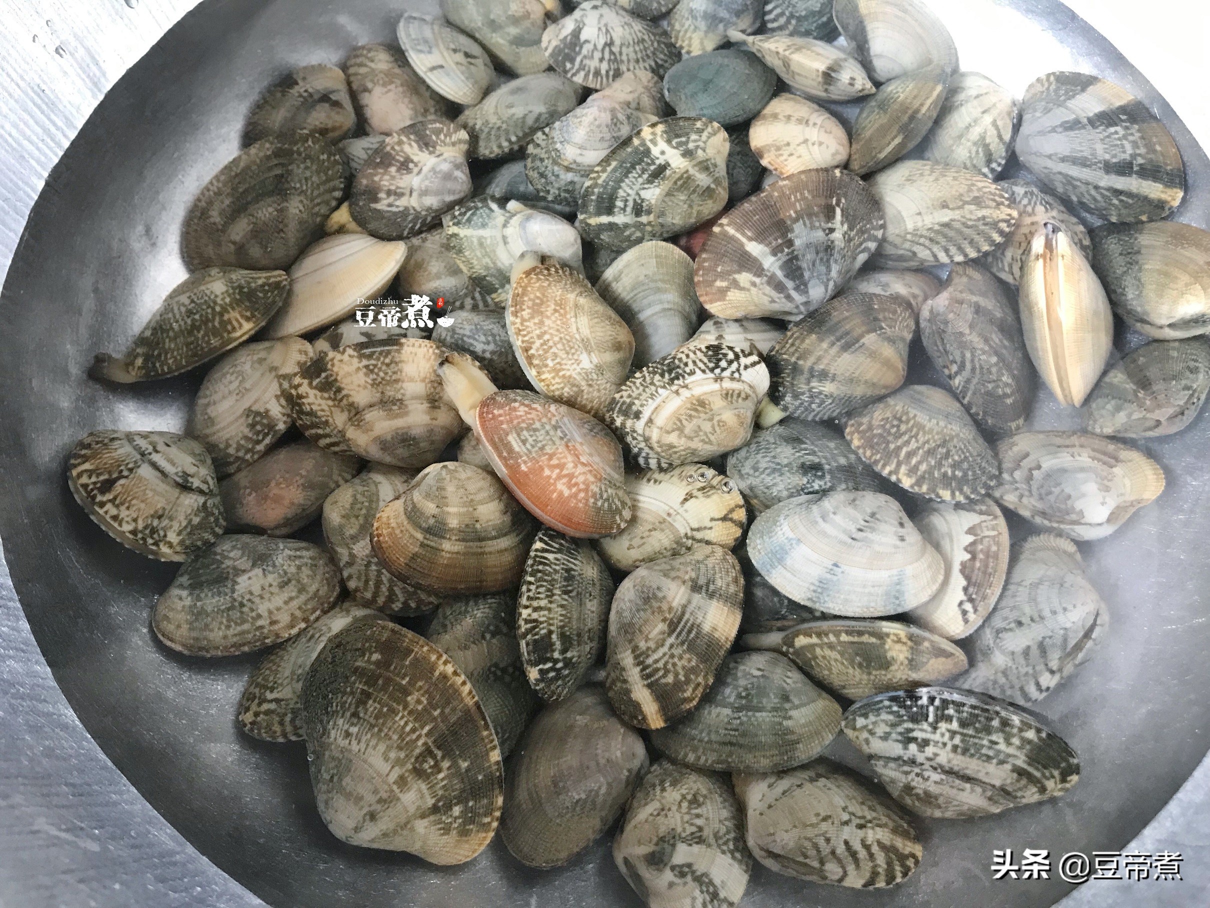花蛤这样炒才好吃，简单三步骤，只要十分钟，一看就会别错过了