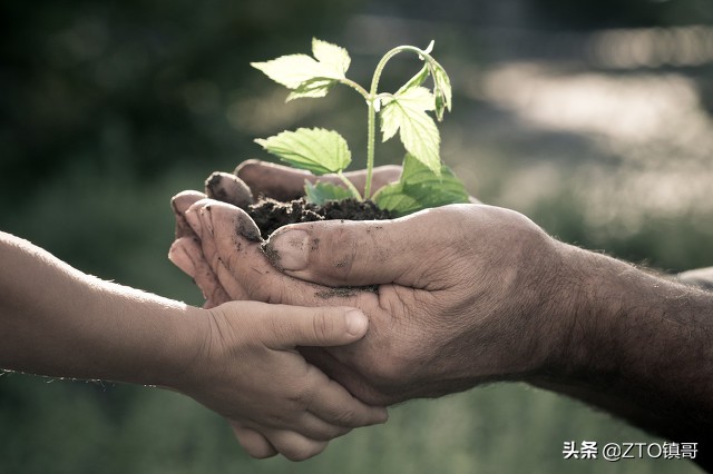 中年人的自责，来于心中永远无法抹掉的那一幕幕不堪过往