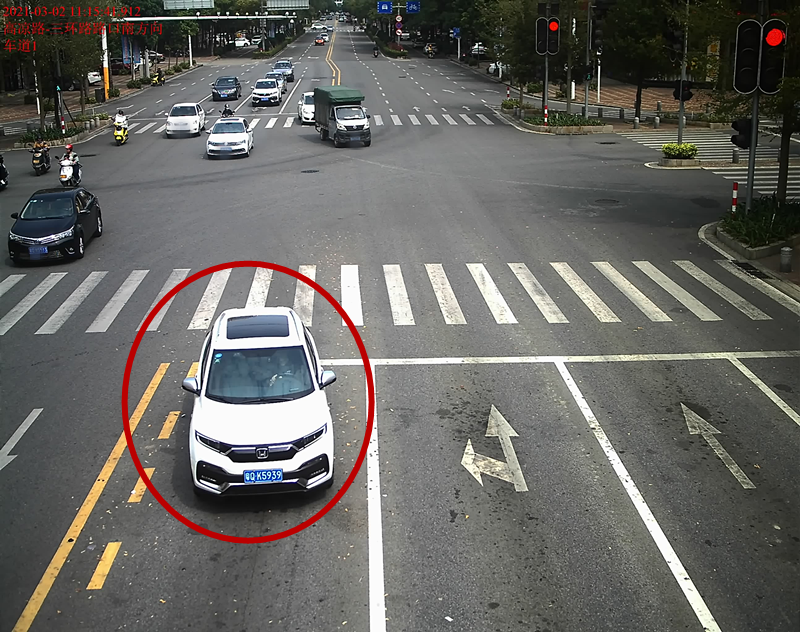 交通违法曝光！