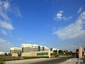 江苏这所独立学院很“牛”！一届毕业生七百多人考取公办教师编制