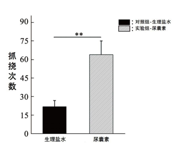 给山药削皮手会痒？只因为你少了这个操作