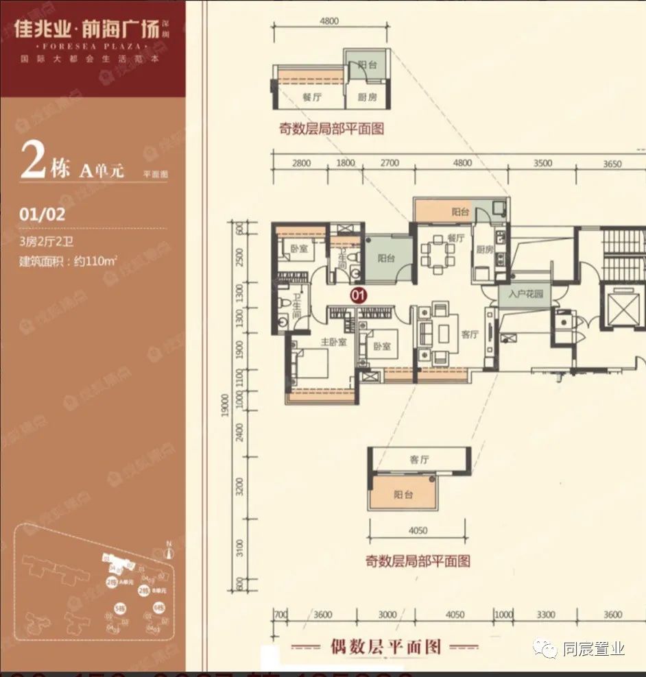 深圳大学优秀生源基地，深大附属教育集团(下)