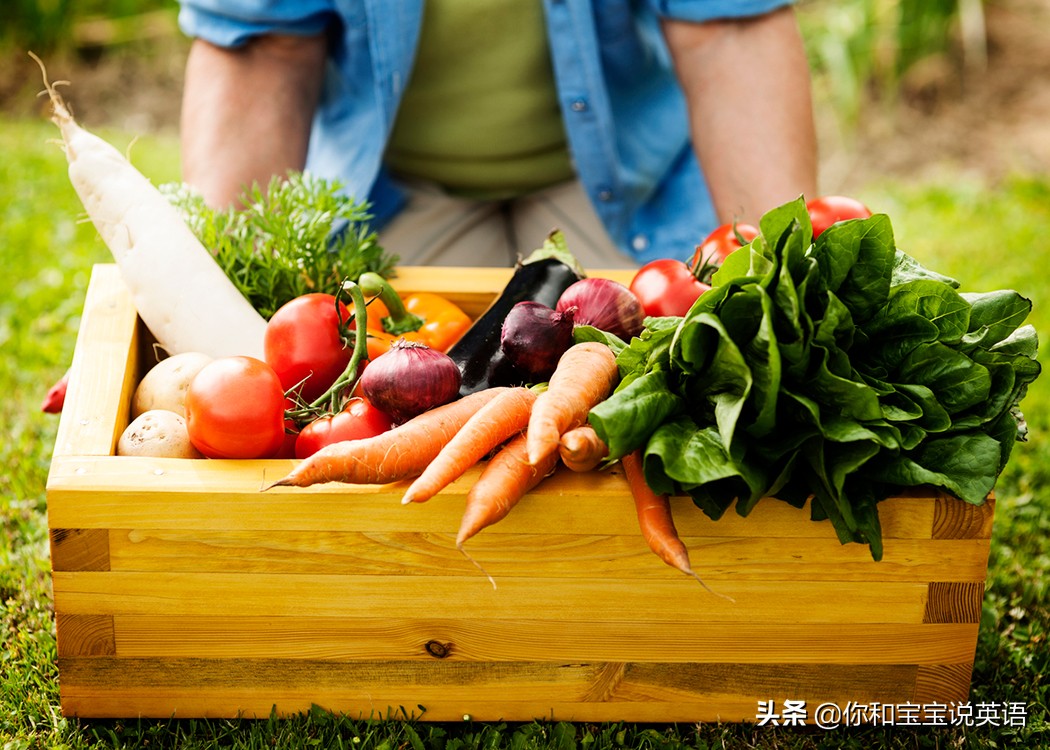 采摘亲子英文+科普—草莓蓝莓、萝卜白菜，谁长地上，谁长藤上？