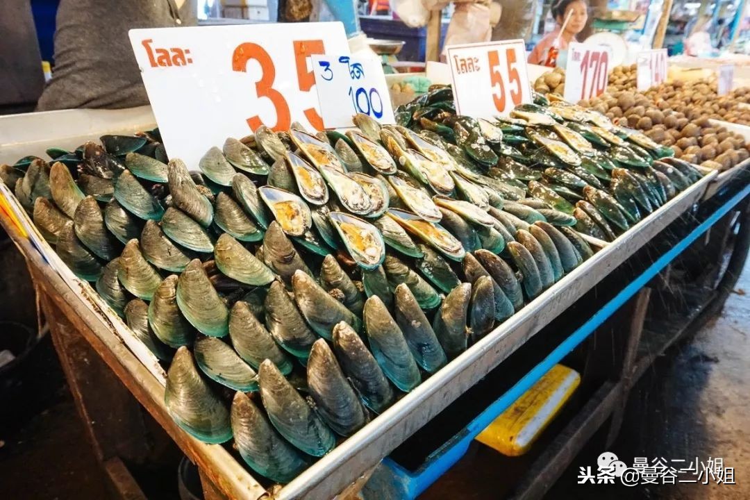 100块钱搞定一桌海鲜盛宴！BTS直达，清新小城北榄府海鲜市场