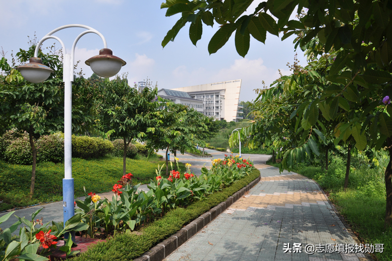 新高考专科，老文理数据相差太大，填志愿太难了？这里有好办法