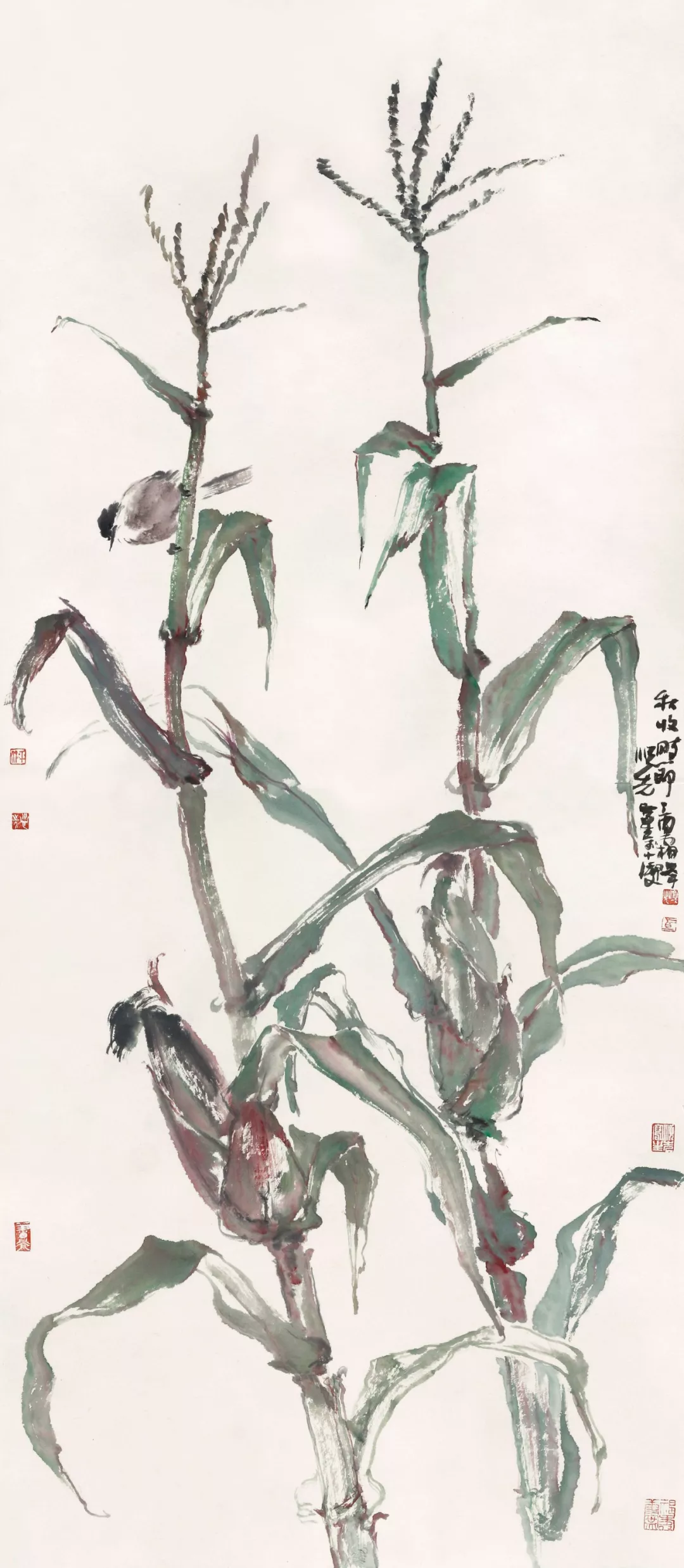 田野畅想曲 | 马顺先的玉米写生