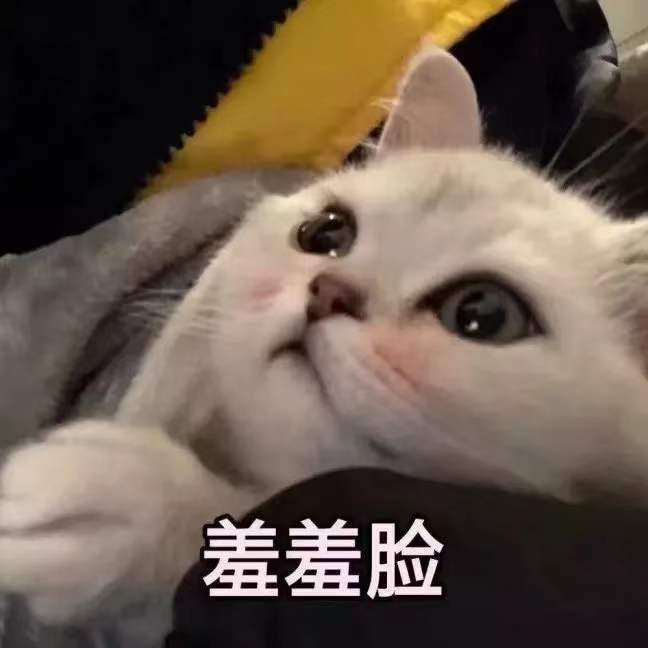 猫咪表情包合集我太难了