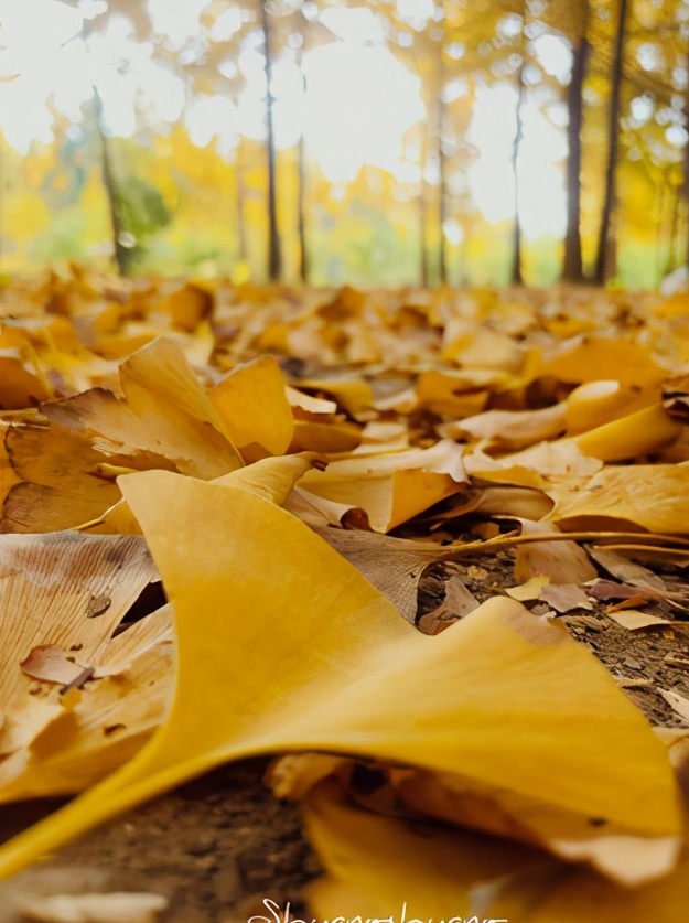 浅谈全国34个省级区域之华东篇：江苏省—徐州市