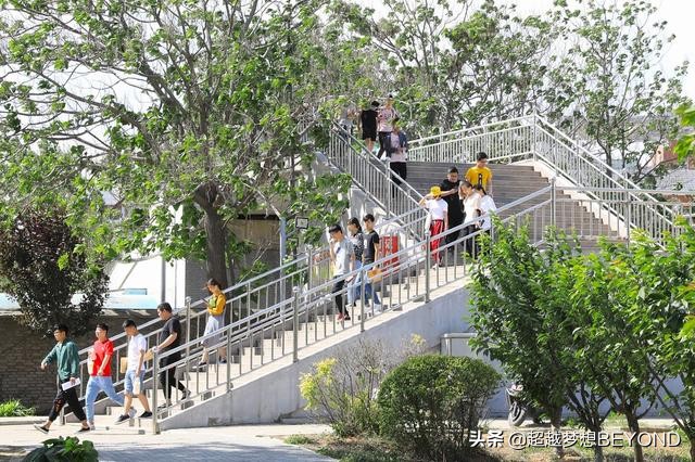 郑州科技学院2021年各专业录取分数线（河南）