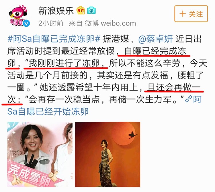 “我”想冻卵，冷冻的卵子，真的是女性生育的“防腐剂？