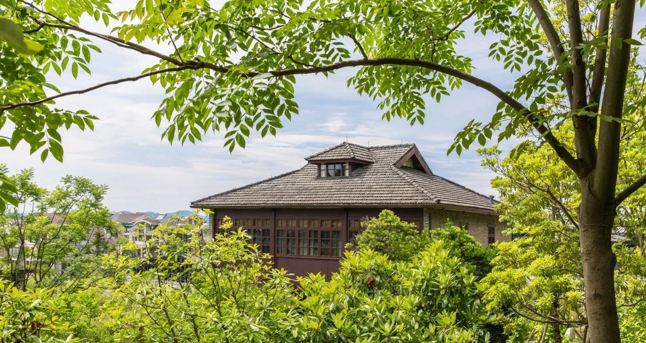 花了5个月，他将杭州民国建筑，打造成江南庭院，茂林修竹太美了