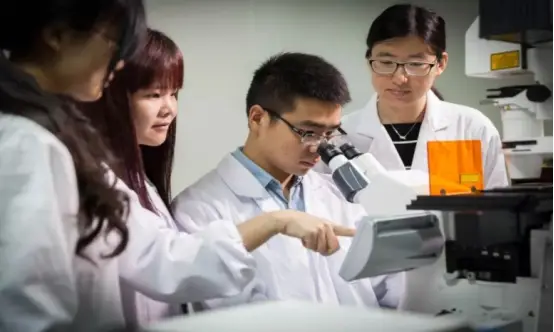 张雪峰最不建议上的专业（三大劝退专业，名字响亮就业难）