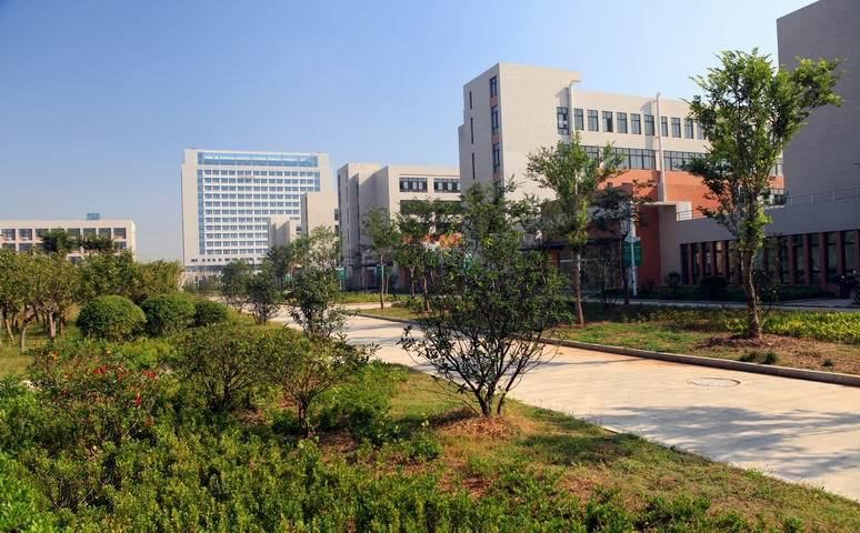 江苏宿迁2020高考，宿迁中学获省文科状元，高分人数全市遥遥领先