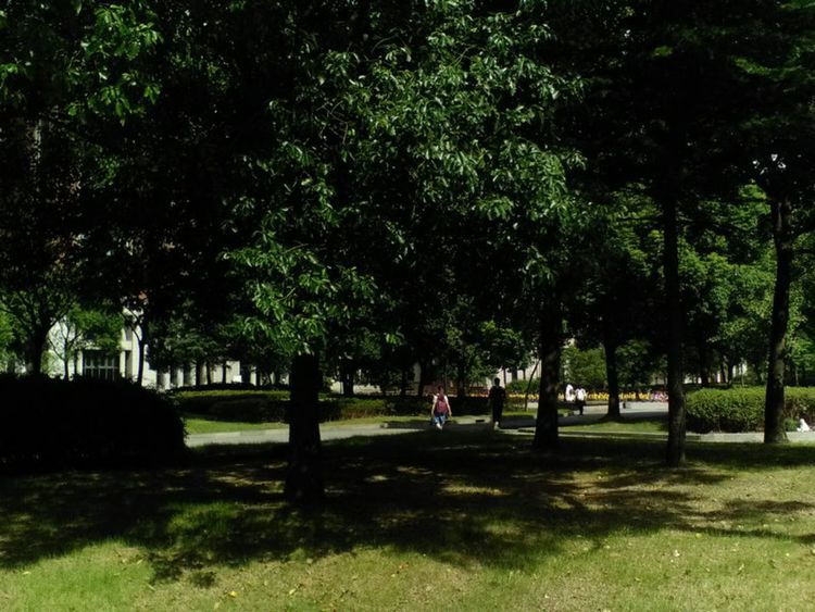 走进上海理工大学