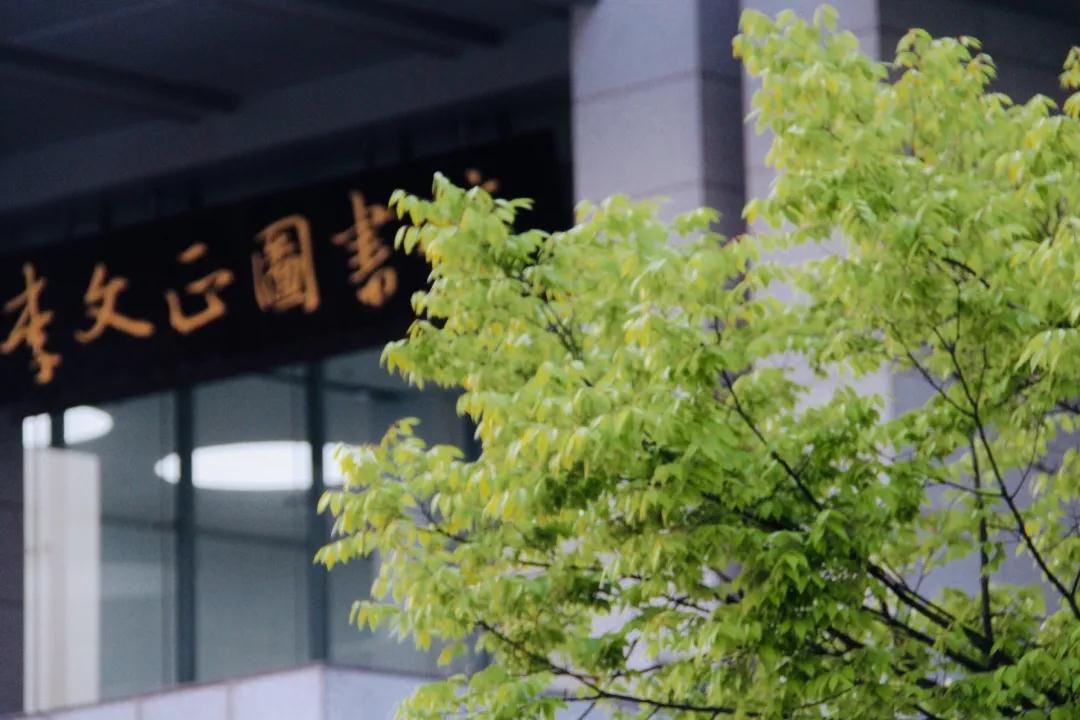 雪山顶找信号的女孩：就读江苏985高校，裹两件外套，为上课爬了一个月天山