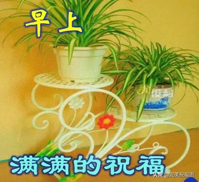 8月早上好天气炎热问候语温馨句子