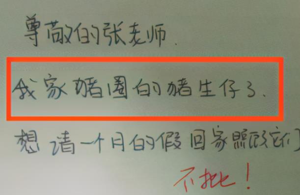 大学生的请假条花样多，想要“回家结婚”，辅导员给出神回复